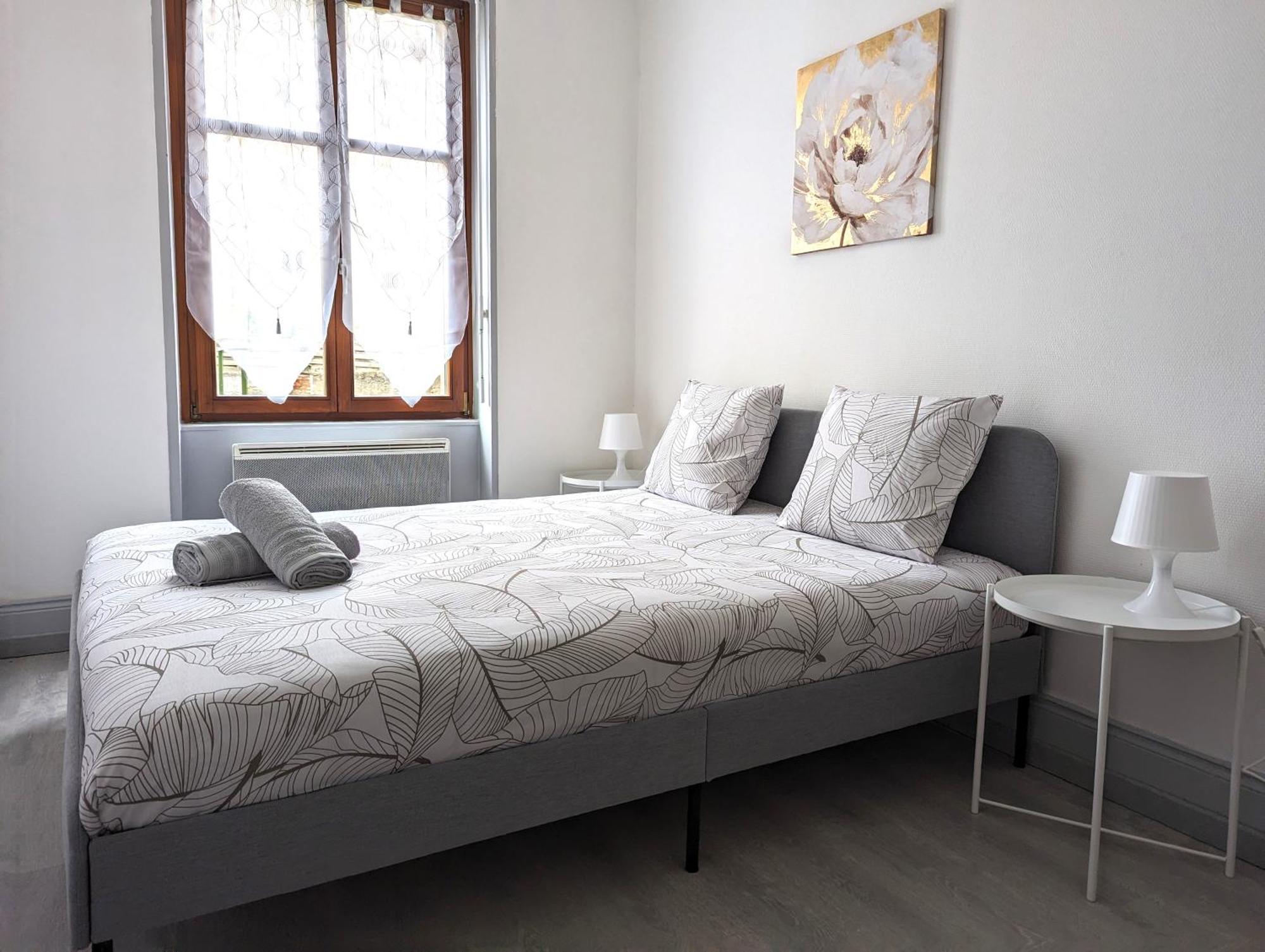 Le Mirage - Appartement 2 Chambres, Salon, Cuisine Equipee, Parking Et Wifi Gratuit 뮐루즈 외부 사진