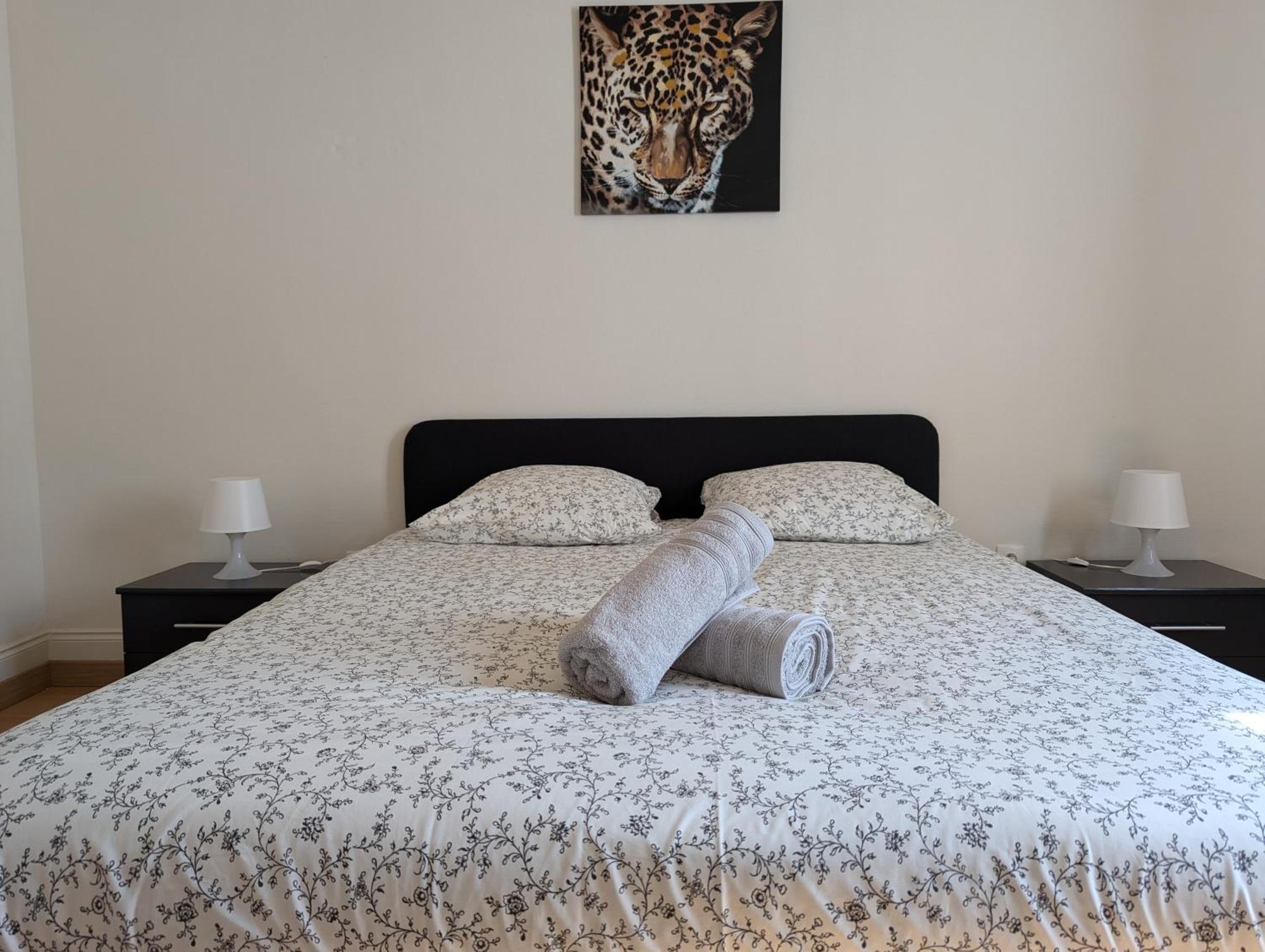 Le Mirage - Appartement 2 Chambres, Salon, Cuisine Equipee, Parking Et Wifi Gratuit 뮐루즈 외부 사진